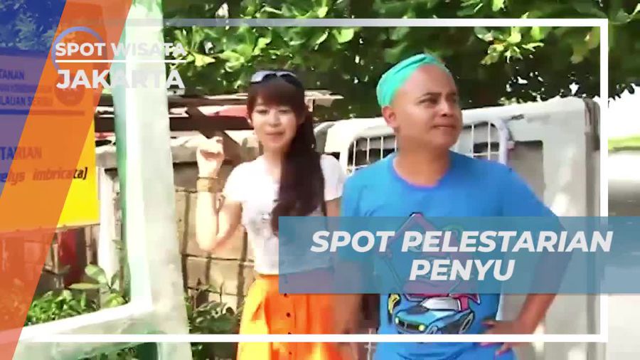 Mengunjungi Tempat Pelestarian Penyu dan Bertemu Petugas Penakaran di Jakarta  