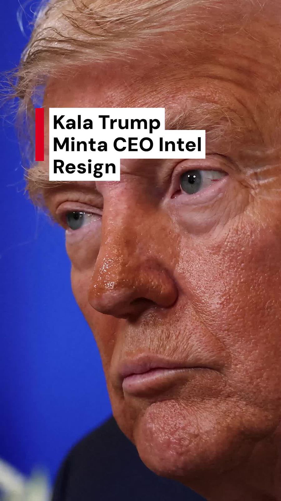 Video Duduk Perkara Trump Minta CEO Intel Lip-Bu Tan Resign