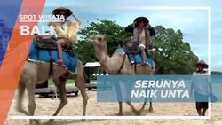 Menikmati Pengalaman Naik Unta di Pantai dan Melihat Pemandangan Indah di Bali  