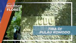 Tiba di Pulau Komodo dan Menyelami Keindahan Alam di Pulau Flores  