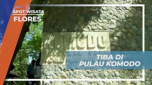 Tiba di Pulau Komodo dan Menyelami Keindahan Alam di Pulau Flores  