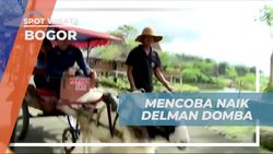 Mencoba Naik Delman Domba yang Unik di Taman Wisata Matahari, Bogor  