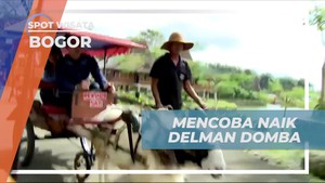 Mencoba Naik Delman Domba yang Unik di Taman Wisata Matahari, Bogor  