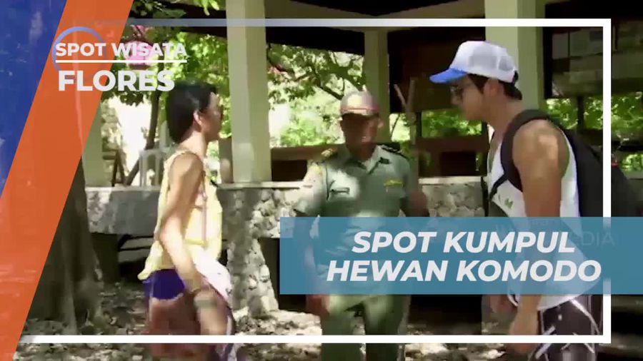 Mengunjungi Kantor Pemandu dan Mempelajari Hewan Komodo di Pulau Komodo, Flores  