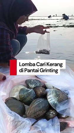 Video: Meriahkan Bulan Kemerdekaan, Warga Probolinggo Lomba Cari Kerang