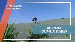 Menikmati Keindahan Gumuk Pasir Parangkusumo dan Melakukan Sandboarding di Yogyakarta  