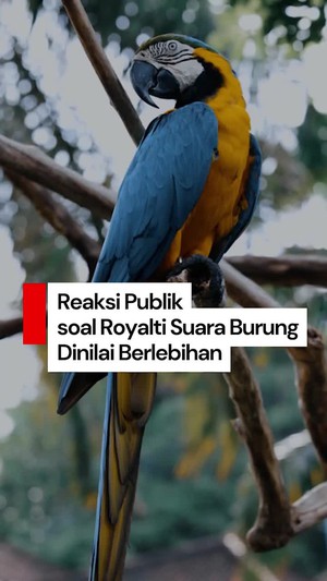 Video Royalti Suara Burung, Komisioner Baru LMKN: Reaksi Publik Berlebihan