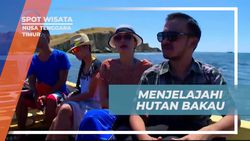Menyusuri Keindahan Hutan Bakau di Nusa Tenggara Timur