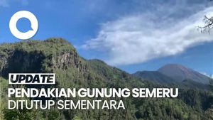 Video: Pengumuman! Pendakian Gunung Semeru Ditutup Mulai 17 Agustus 2025