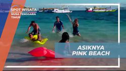 Bersenang-senang di Pantai Pink yang Cantik, Nusa Tenggara Timur