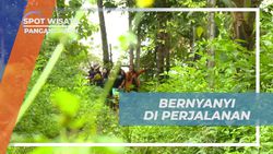 Bernyanyi Riang di Alam Curug, Pangandaran