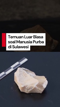 Video Ada Temuan Baru di Sulawesi soal Migrasi Manusia Purba