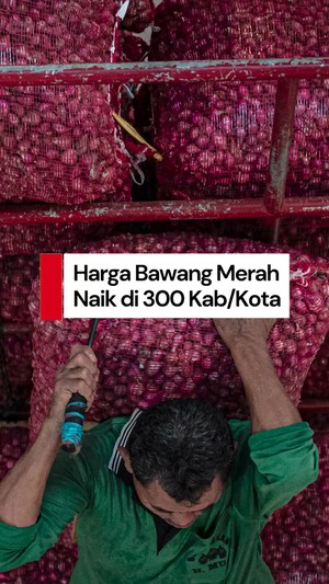 Video: Harga Bawang Merah Naik di 300 Kab/Kota, Sentuh Rp 53 Ribu Per Kg