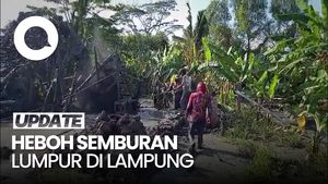 Video: Pemprov Akan Turun Cek Semburan Lumpur Disertai Gas di Lampung 