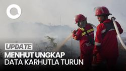 Video Menhut Ungkap Karhutla Turun, Tapi Riau & Kalsel Diminta Hati-hati