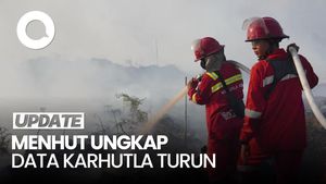 Video Menhut Ungkap Karhutla Turun, Tapi Riau & Kalsel Diminta Hati-hati