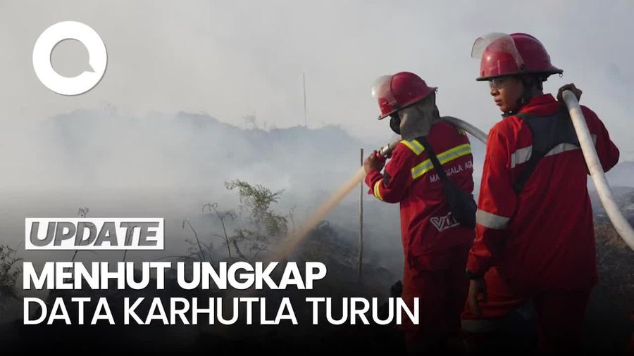 Video Menhut Ungkap Karhutla Turun, Tapi Riau & Kalsel Diminta Hati-hati