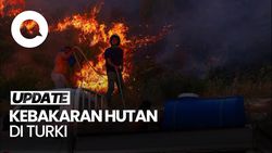 Video: Melihat dari Udara Parahnya Kebakaran Hutan di Turki