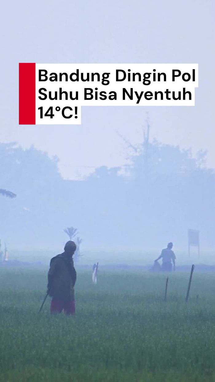 Video: Bandung Dingin Pol, Suhu Bisa Nyentuh 14°C!