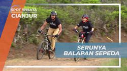 Nikmati Adrenalin Balapan Sepeda di Kebun Teh Penyairan, Cianjur  
