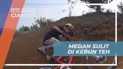 Tantang Diri di Medan Sulit Kebun Teh Penyairan, Cianjur  