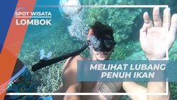 Menyelam Melihat Keindahan Lubang Berisi Ikan, Lombok