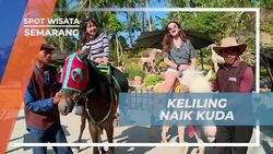 Berkeliling dengan Naik Kuda di Cimory On The Valley, Semarang  