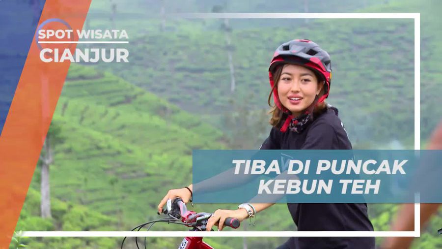 Capai Puncak Kebun Teh Penyairan dan Nikmati Pemandangannya, Cianjur  