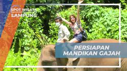 Bersiap-siap Memandikan Gajah di Lembah Hijau, Lampung
