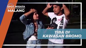 Menyaksikan Keindahan Kawasan Bromo di Kota Malang