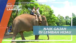 Bermain dan Berinteraksi dengan Gajah di Lembah Hijau, Lampung