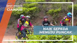 Jelajahi Keindahan Puncak Kebun Teh Penyairan dengan Sepeda, Cianjur    