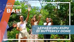 Lepaskan Kupu-Kupu di Butterfly Dome, Bali
