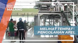 Mengunjungi Tempat Pengolahan Apel di Kota Malang