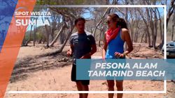Menyaksikan Pesona Alam Tamarind Beach, Sumba