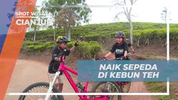 Rasakan Serunya Bersepeda Menyusuri Kebun Teh Penyairan, Cianjur