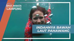 Menjelajahi Indahnya Bawah Laut Pahawang, Lampung