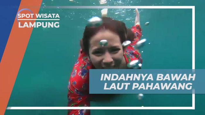Menjelajahi Indahnya Bawah Laut Pahawang, Lampung