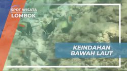 Jelajahi Keindahan Bawah Laut Gili Trawangan di Lombok