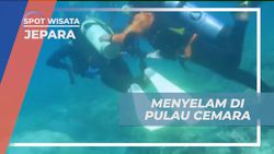 Menyelam Menyaksikan Keindahan Laut Pulau Cemara, Jepara