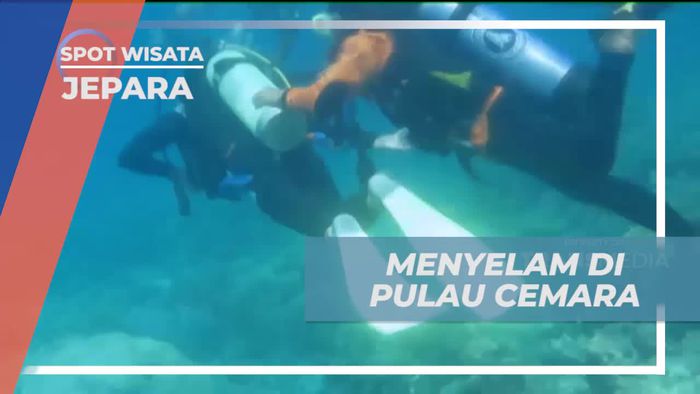 Menyelam Menyaksikan Keindahan Laut Pulau Cemara, Jepara