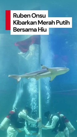 Video: Momen Ruben Onsu Kibarkan Merah Putih Bersama Belasan Hiu