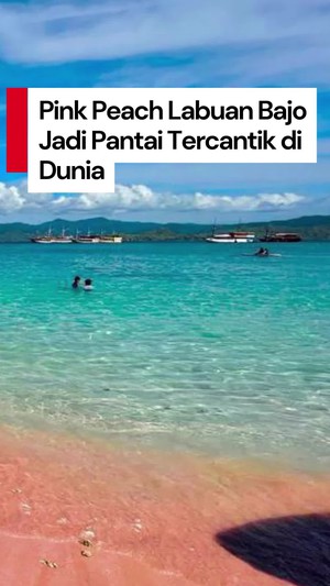 Video Pink Beach Labuan Bajo Dinobatkan Jadi Pantai Tercantik di Dunia!