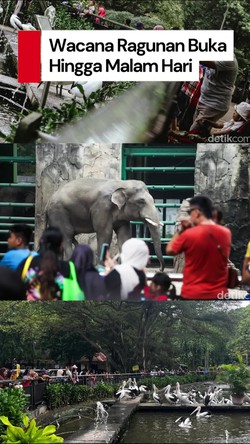 Video Ragunan Buka hingga Malam? Ini Kata Pramono