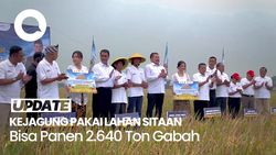 Kejagung Pakai Lahan Sitaan Kasus Korupsi ASABRI, Bisa Panen 2.640 Ton Gabah