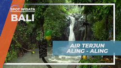 Jelajahi Keindahan Air Terjun Aling-Aling di Bali