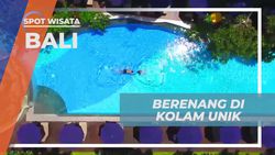 Bersantai dan Berenang di Kolam Penginapan Bali
