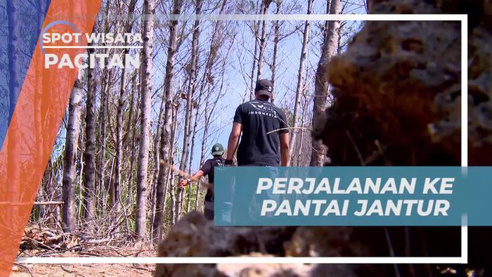 Perjalanan Menuju Pesona Pantai Jantur, Pacitan