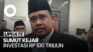 Video: Bobby Nasution Kejar Investasi Rp 100 T demi Ekonomi Tumbuh 8%