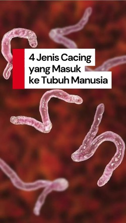 Video: Jenis-jenis Cacing yang Bisa Masuk ke Tubuh Manusia